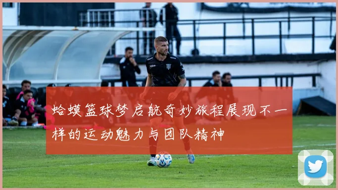 蛤蟆篮球梦启航奇妙旅程展现不一样的运动魅力与团队精神