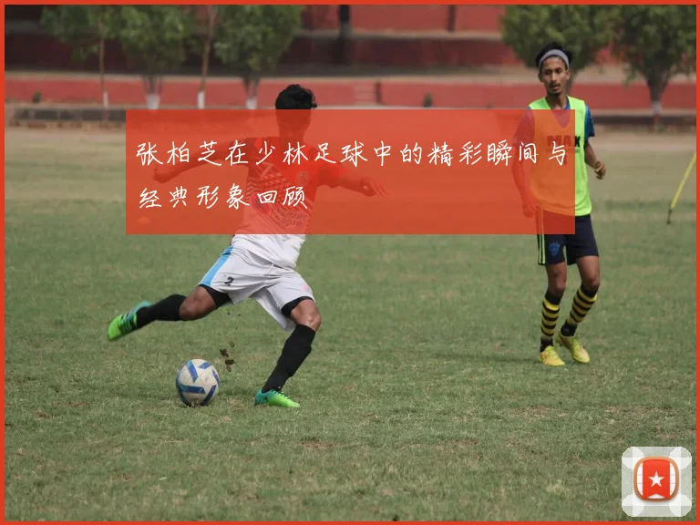 张柏芝在少林足球中的精彩瞬间与经典形象回顾