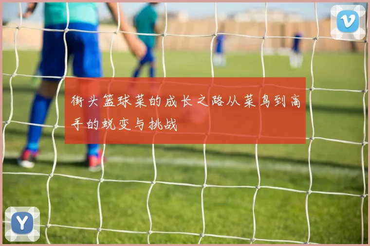 街头篮球菜的成长之路从菜鸟到高手的蜕变与挑战