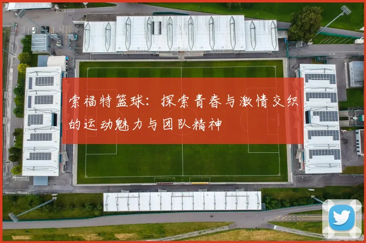 索福特篮球：探索青春与激情交织的运动魅力与团队精神