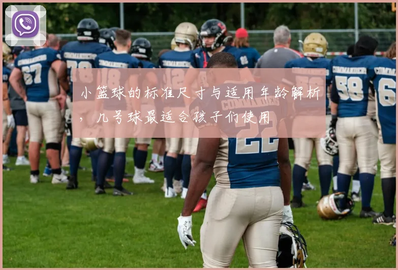 小篮球的标准尺寸与适用年龄解析，几号球最适合孩子们使用